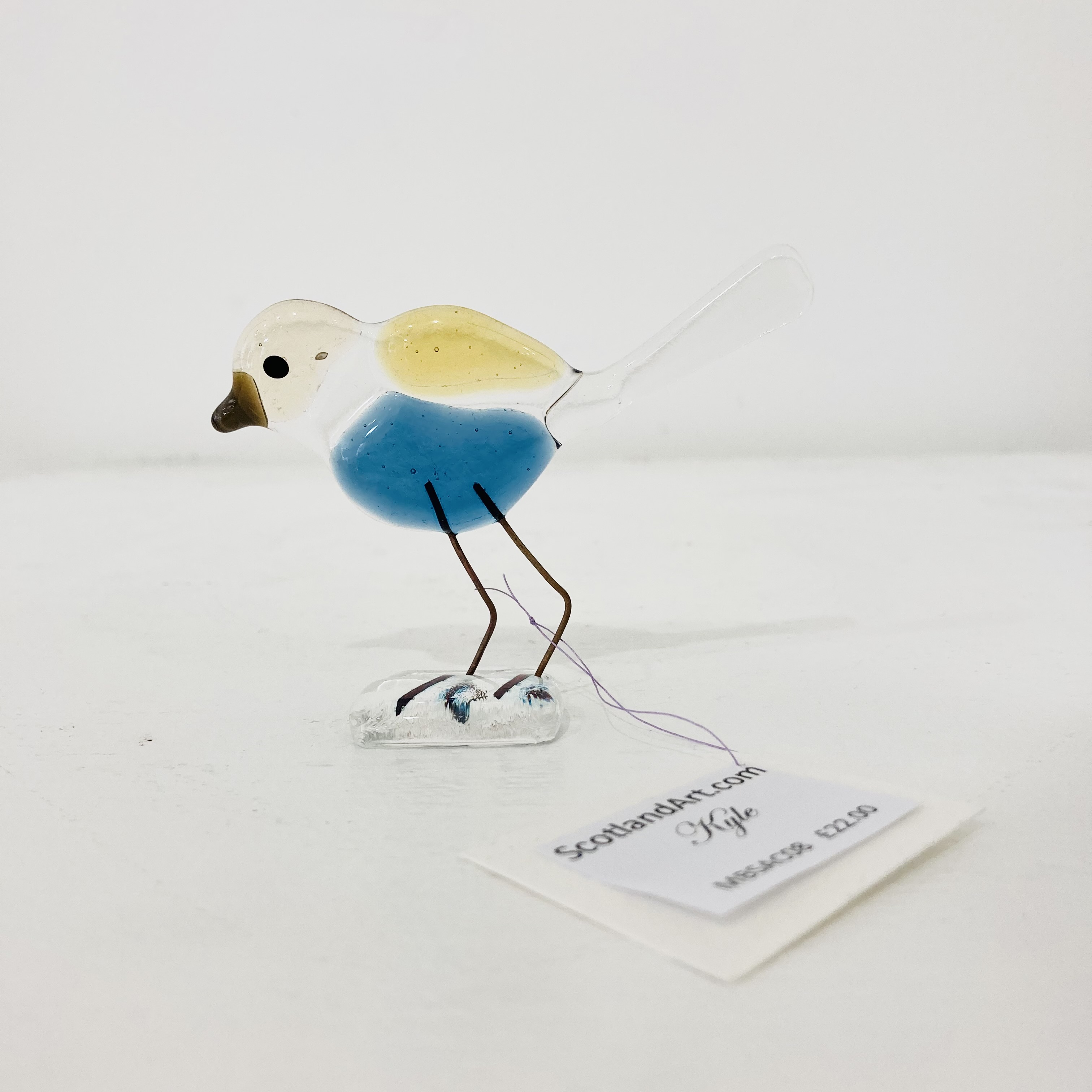 ''Kyle' - Glass Fused Bird' by artist Moira Buchanan